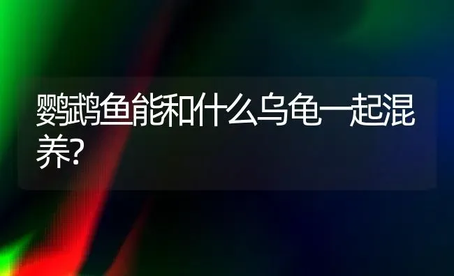 鹦鹉鱼能和什么乌龟一起混养？ | 动物养殖问答