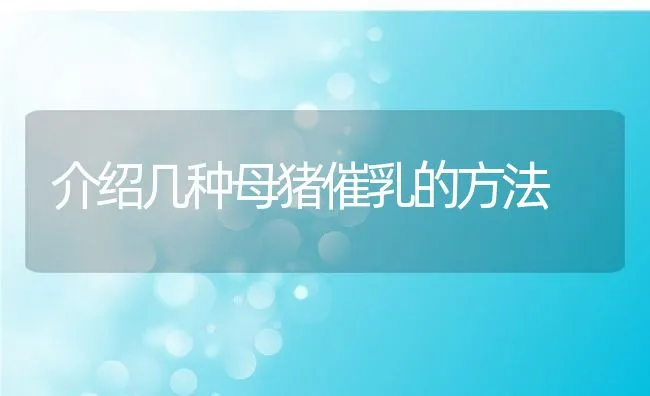 介绍几种母猪催乳的方法 | 动物养殖学堂