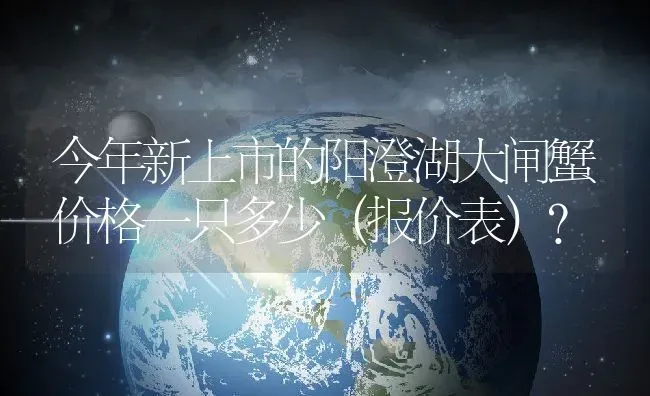 今年新上市的阳澄湖大闸蟹价格一只多少（报价表）？ | 动物养殖百科