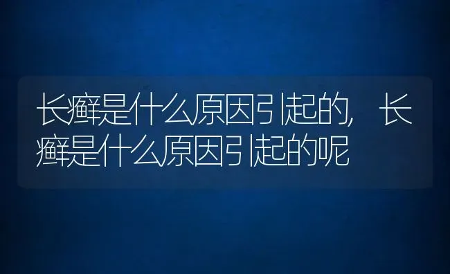 长癣是什么原因引起的,长癣是什么原因引起的呢 | 宠物百科知识