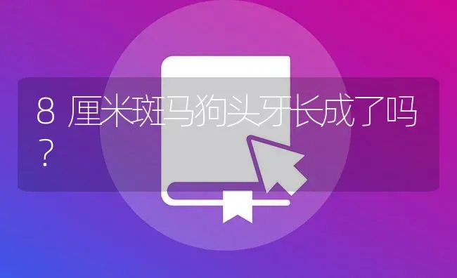 8厘米斑马狗头牙长成了吗？ | 鱼类宠物饲养