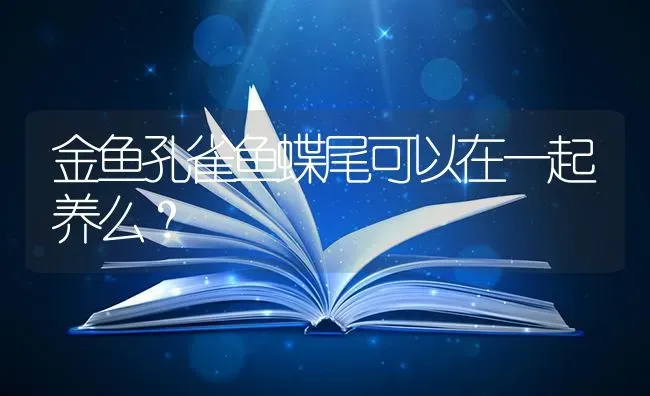 金鱼孔雀鱼蝶尾可以在一起养么？ | 鱼类宠物饲养