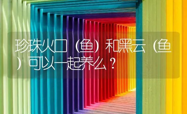 珍珠火口（鱼）和黑云（鱼）可以一起养么？ | 鱼类宠物饲养