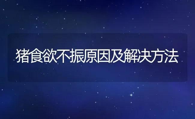 猪食欲不振原因及解决方法 | 动物养殖百科