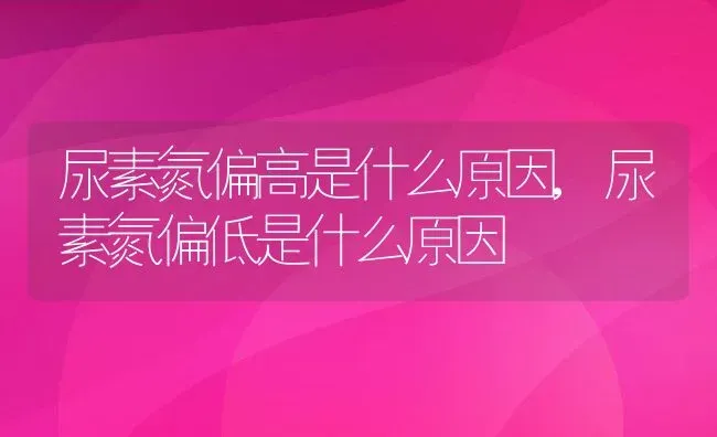 尿素氮偏高是什么原因,尿素氮偏低是什么原因 | 宠物百科知识