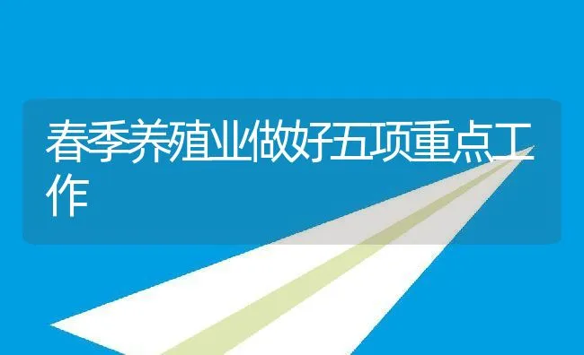 春季养殖业做好五项重点工作 | 动物养殖饲料