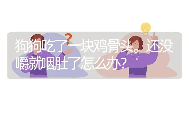 狗狗吃了一块鸡骨头。还没嚼就咽肚了怎么办？ | 动物养殖问答