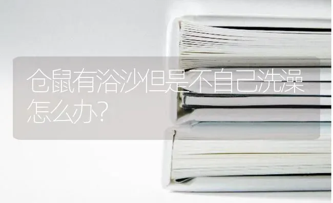 仓鼠有浴沙但是不自己洗澡怎么办？ | 动物养殖问答