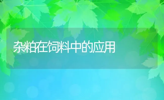 杂粕在饲料中的应用 | 动物养殖饲料