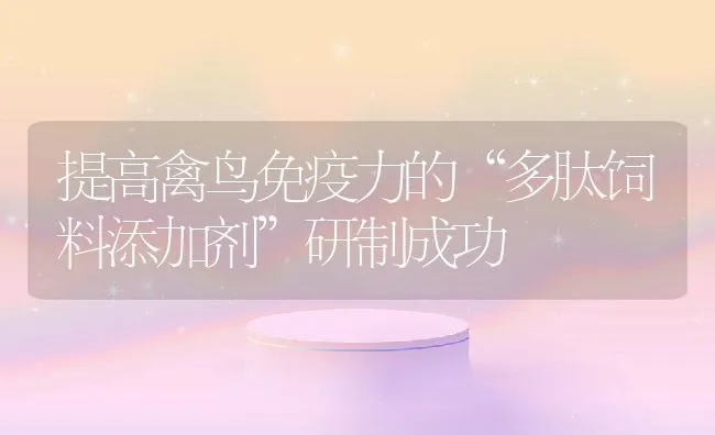 提高禽鸟免疫力的“多肽饲料添加剂”研制成功 | 动物养殖饲料