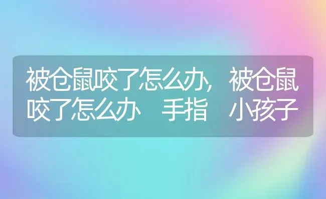 母猪产后护理专业,母猪产后护理专业排名 | 宠物百科知识