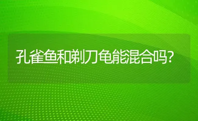 孔雀鱼和剃刀龟能混合吗？ | 动物养殖问答