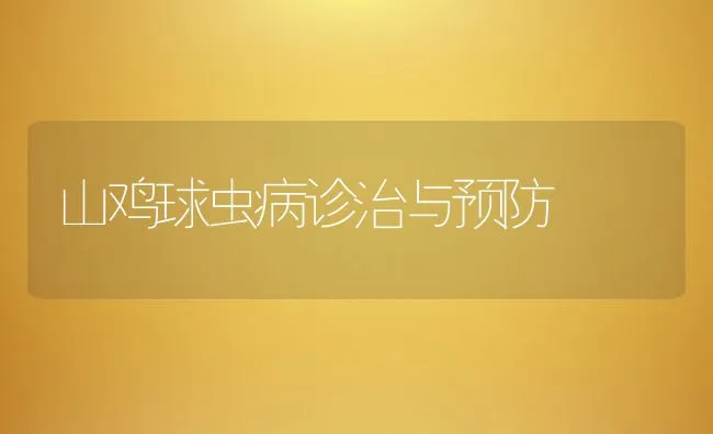 山鸡球虫病诊治与预防 | 动物养殖学堂