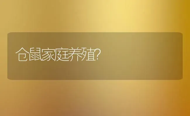 仓鼠家庭养殖？ | 动物养殖问答