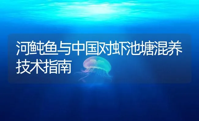 河鲀鱼与中国对虾池塘混养技术指南 | 海水养殖技术