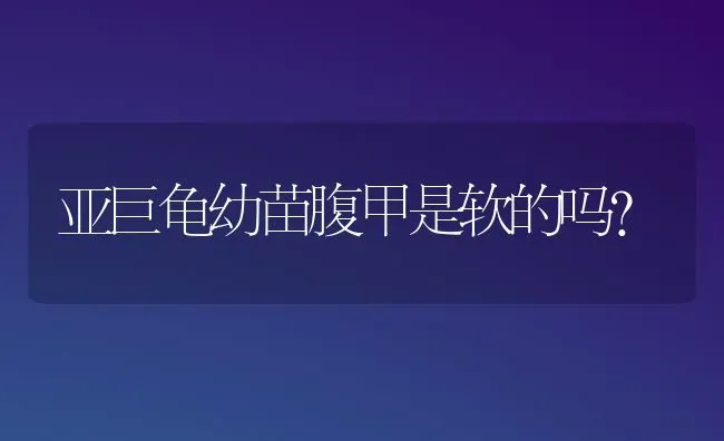 亚巨龟幼苗腹甲是软的吗？ | 动物养殖问答