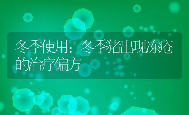 冬季使用：冬季猪出现冻疮的治疗偏方 | 动物养殖学堂