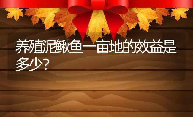 养殖泥鳅鱼一亩地的效益是多少？ | 动物养殖百科