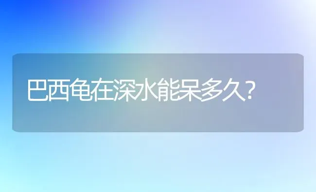 猫咪得了猫瘟，怎么样才算痊愈不用打点滴了？ | 动物养殖问答