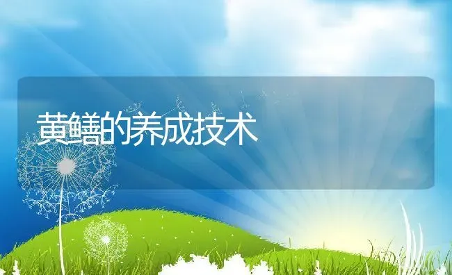 黄鳝的养成技术 | 动物养殖教程