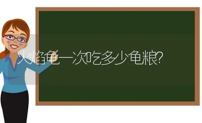 火焰龟一次吃多少龟粮？ | 动物养殖问答