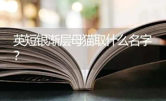 英短银渐层母猫取什么名字？ | 动物养殖问答