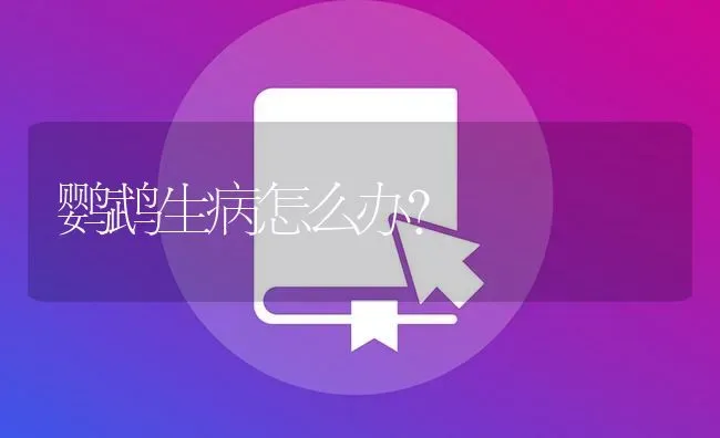 鹦鹉生病怎么办？ | 鱼类宠物饲养