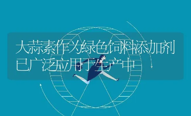 大蒜素作为绿色饲料添加剂已广泛应用于生产中 | 动物养殖学堂