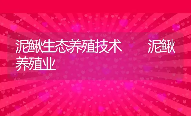 泥鳅生态养殖技术  泥鳅养殖业 | 水产养殖知识