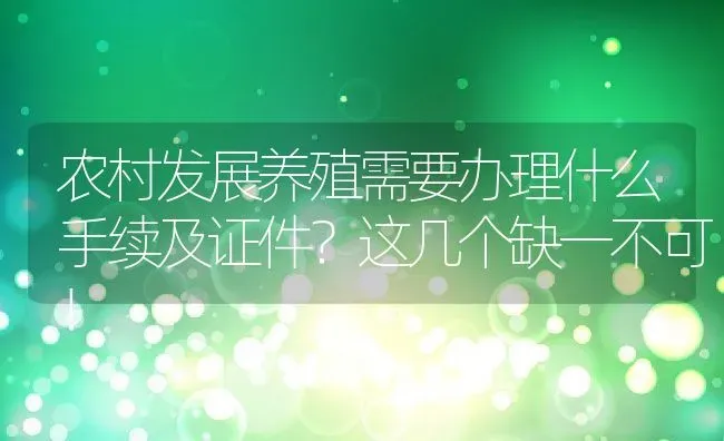 农村发展养殖需要办理什么手续及证件？这几个缺一不可！ | 动物养殖百科