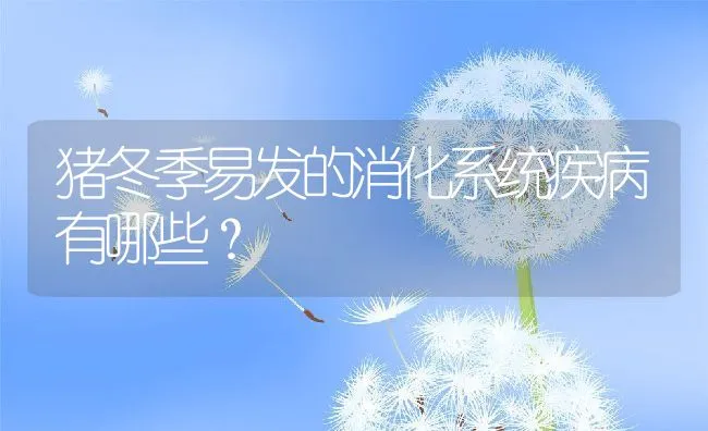 猪冬季易发的消化系统疾病有哪些？ | 动物养殖学堂