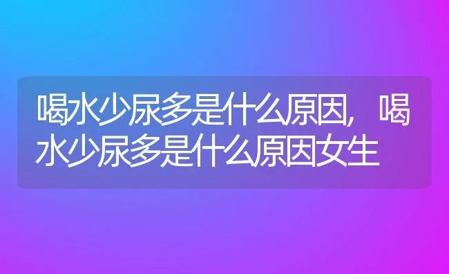 喝水少尿多是什么原因,喝水少尿多是什么原因女生 | 宠物百科知识