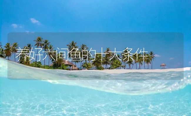 养好六间鱼的十大条件 | 海水养殖技术