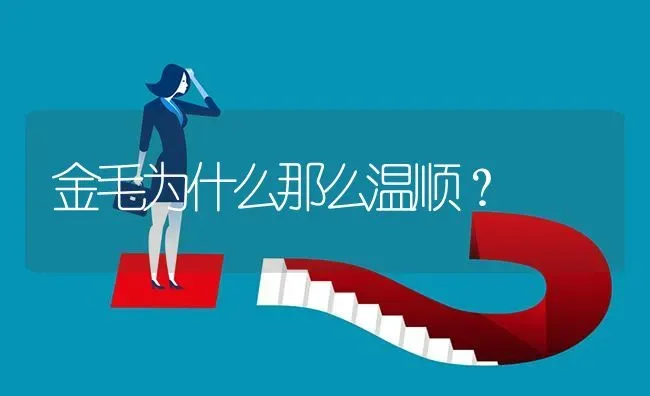 金毛为什么那么温顺？ | 动物养殖问答