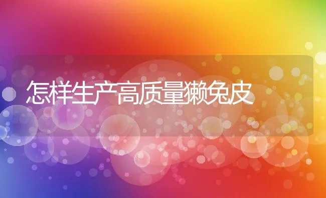 怎样生产高质量獭兔皮 | 动物养殖学堂