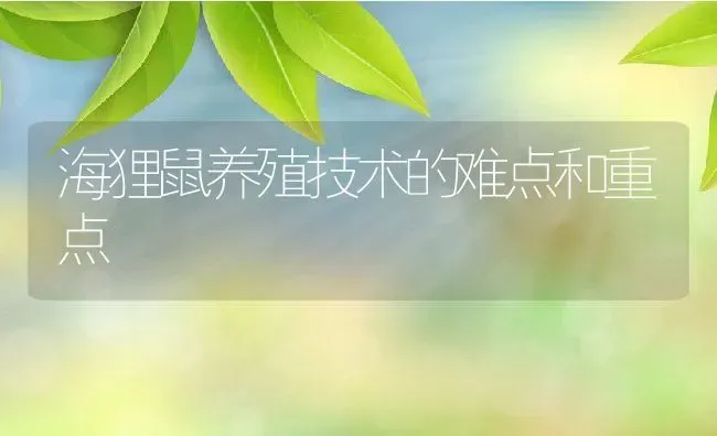 海狸鼠养殖技术的难点和重点 | 特种养殖技术