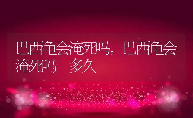 巴西龟会淹死吗,巴西龟会淹死吗 多久 | 宠物百科知识