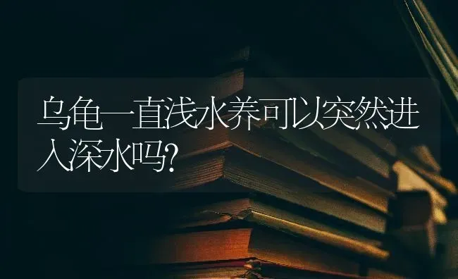 狗狗怀孕了，几个月就能抱小狗啊？ | 动物养殖问答