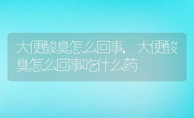 大便酸臭怎么回事,大便酸臭怎么回事吃什么药 | 宠物百科知识