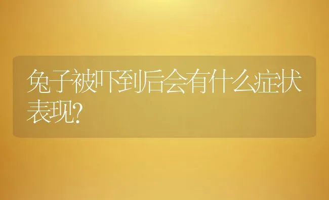 兔子被吓到后会有什么症状表现？ | 动物养殖百科