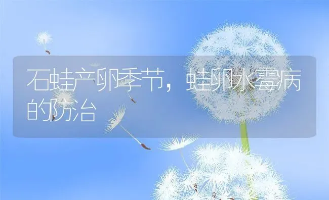 石蛙产卵季节，蛙卵水霉病的防治 | 动物养殖教程