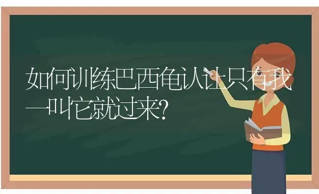 如何训练巴西龟认让只有我一叫它就过来？ | 动物养殖问答