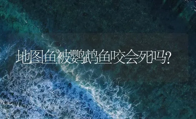 海鲜有哪几种？ | 鱼类宠物饲养