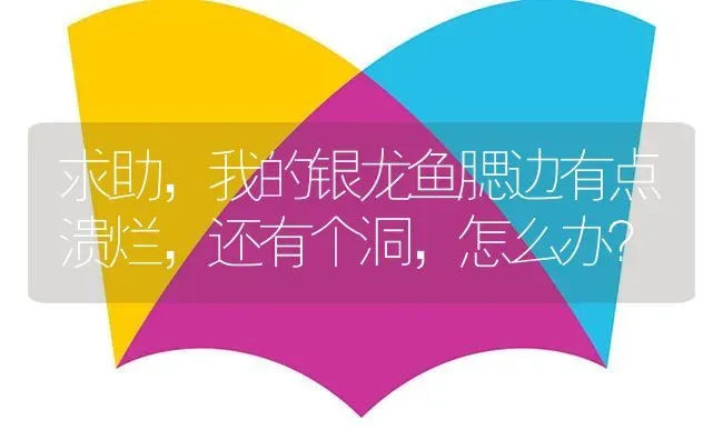 求助，我的银龙鱼腮边有点溃烂，还有个洞，怎么办？ | 鱼类宠物饲养