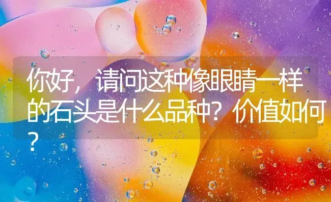 你好，请问这种像眼睛一样的石头是什么品种？价值如何？ | 鱼类宠物饲养