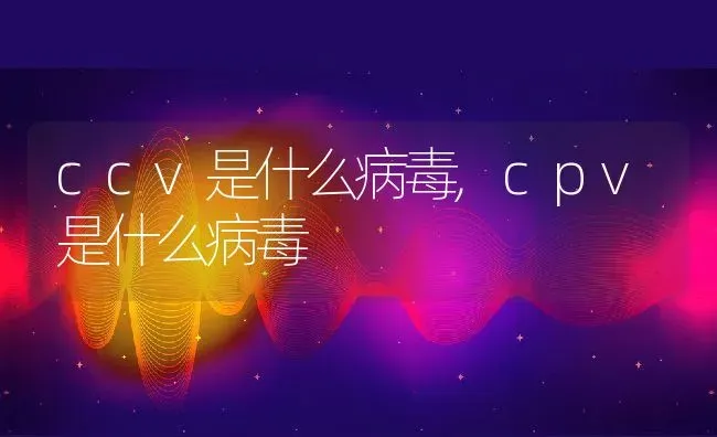 ccv是什么病毒,cpv是什么病毒 | 宠物百科知识