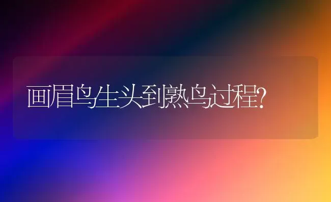 两个月小体吉娃娃一次喂多少？ | 动物养殖问答