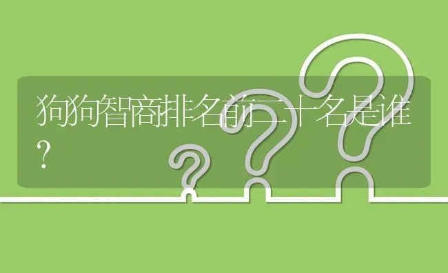 狗狗智商排名前二十名是谁？ | 动物养殖问答