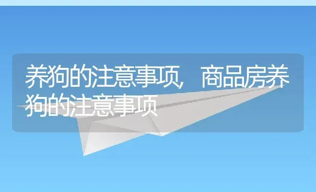 养狗的注意事项,商品房养狗的注意事项 | 宠物百科知识