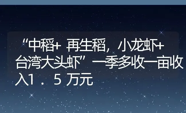 “中稻+再生稻，小龙虾+台湾大头虾”一季多收一亩收入1.5万元 | 动物养殖百科